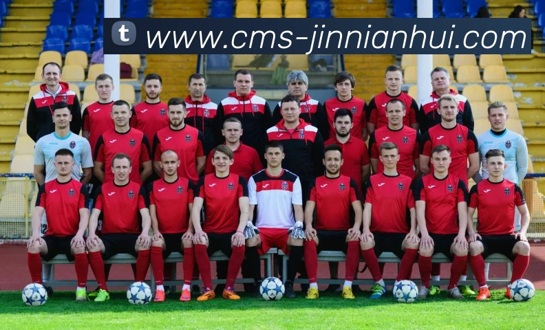 金年会体育发展历程